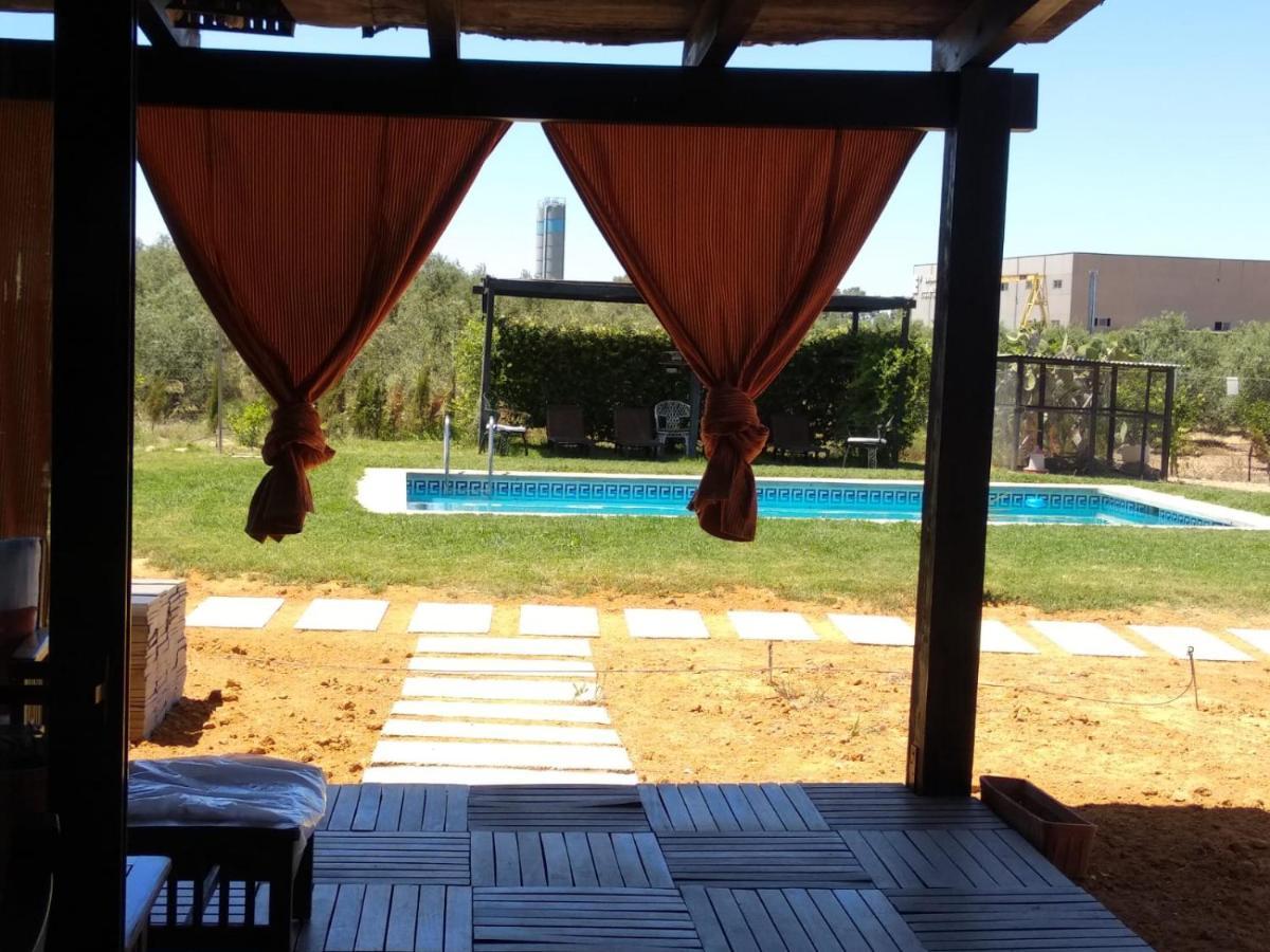 Casa Ecuestre Carmen Martinez Panzió Fuente Palmera Kültér fotó