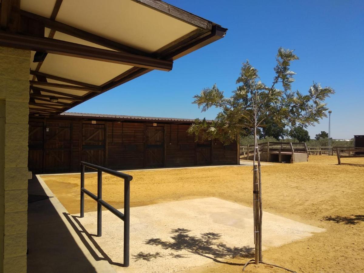 Casa Ecuestre Carmen Martinez Panzió Fuente Palmera Kültér fotó