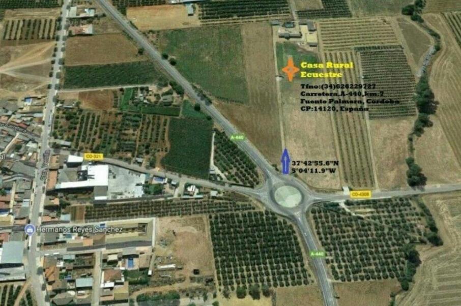 Casa Ecuestre Carmen Martinez Panzió Fuente Palmera Kültér fotó